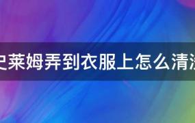 史莱姆弄到衣服上怎么清洗掉(史莱姆弄到衣服上应该怎么清洗)