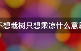 年纪大了不想栽树只想乘凉什么意思(不想栽树只想乘凉是什么意思)