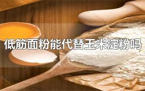 低筋面粉能代替玉米淀粉吗(玉米面粉能代替低筋面粉)