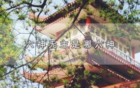 六神无主是哪六神意思(六神无主是哪六神)