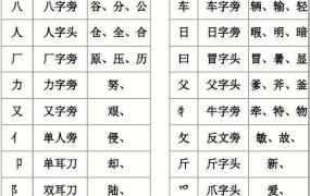 曲字的部首是什么