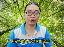 反吟伏吟是什么意思