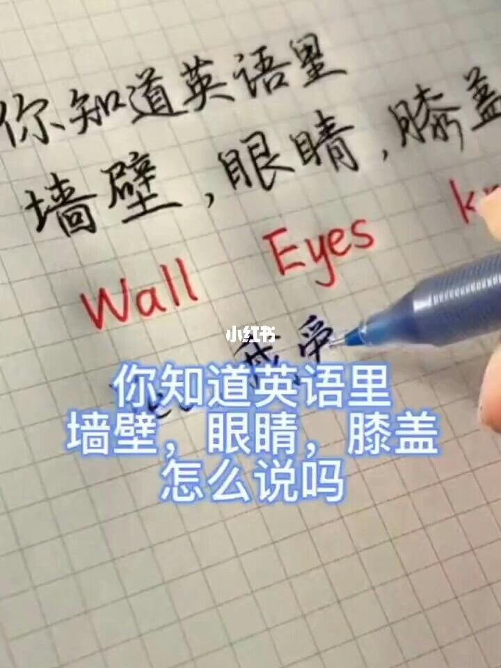 眼睛英语怎么说