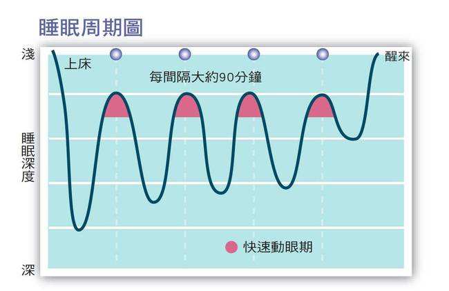 睡眠周期怎么算