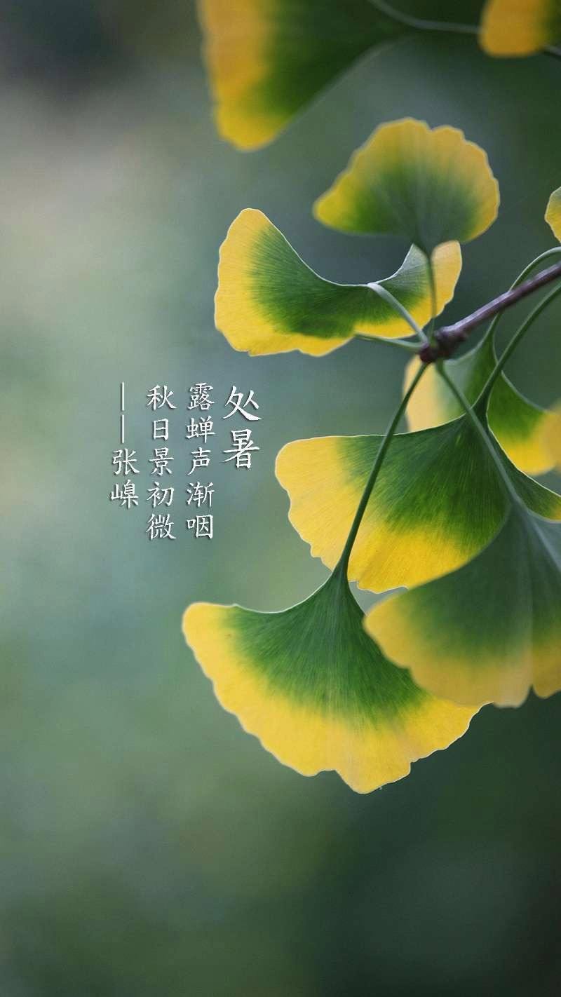 处暑节气含义