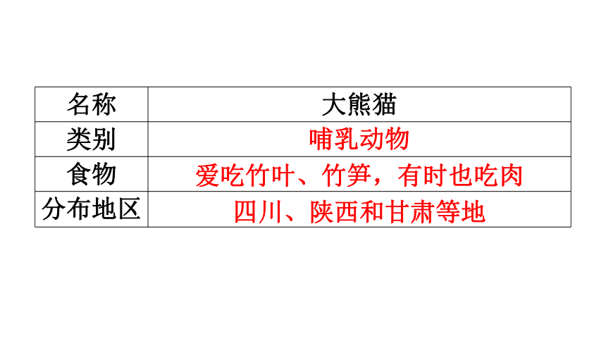 大熊猫介绍