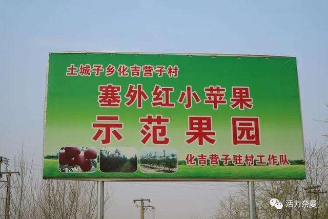 包联是什么意思