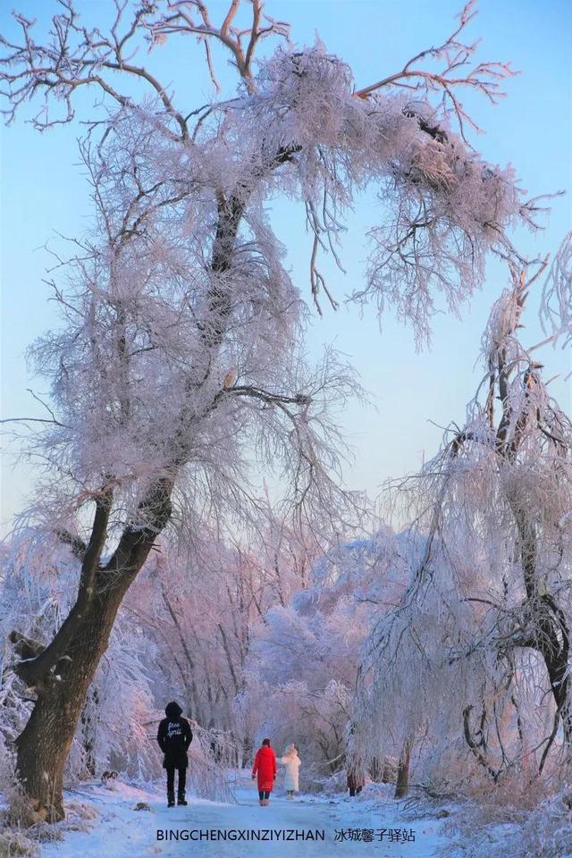 冰雨是什么意思