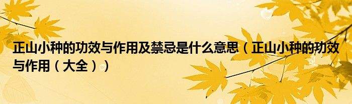 功效是什么意思