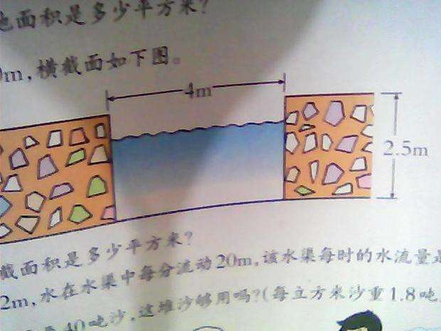 五年级横截面是什么意思