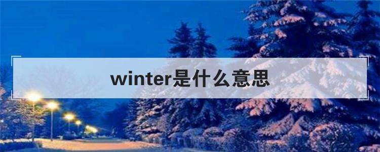 英语winter怎么读