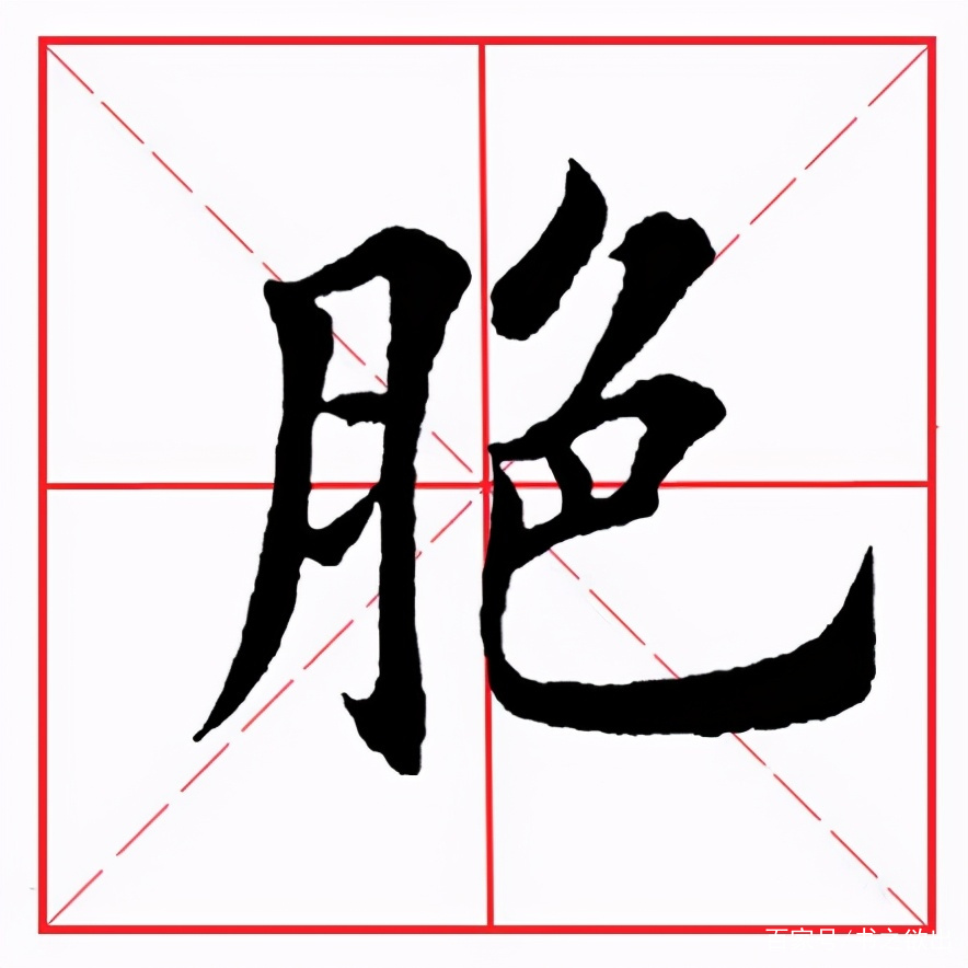 月字旁的字都和什么有关