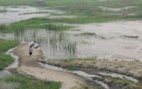 水始涸什么意思