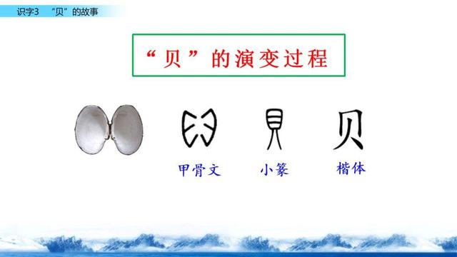 贝是什么结构的字