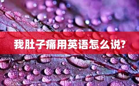 肚子用英语怎么说