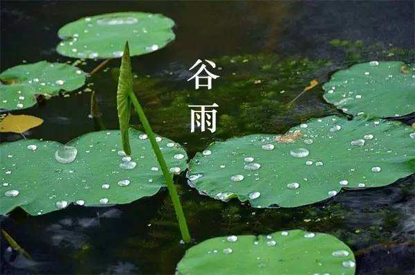 谷雨节气诗词