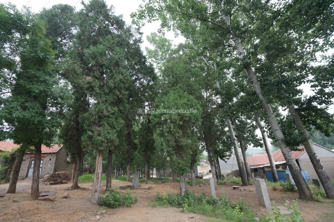 渊渟岳峙,沂水春风的意思