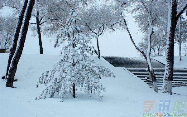 关于雪的优美诗句