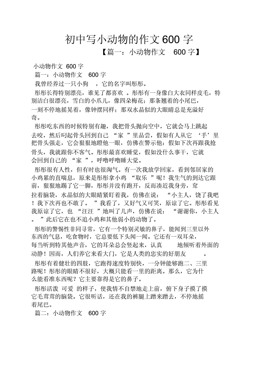 初中写事作文600字