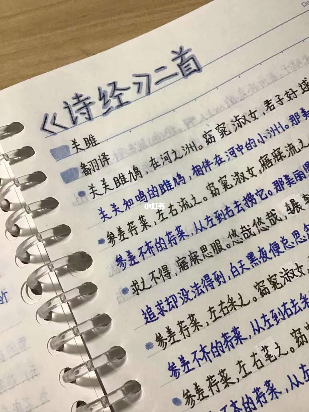 蒹葭翻译