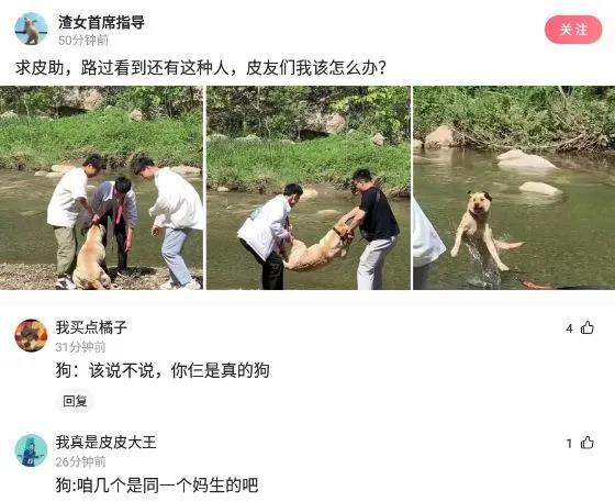 共同话题是什么意思