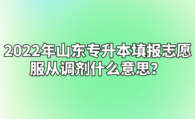 是否服从专业调剂什么意思