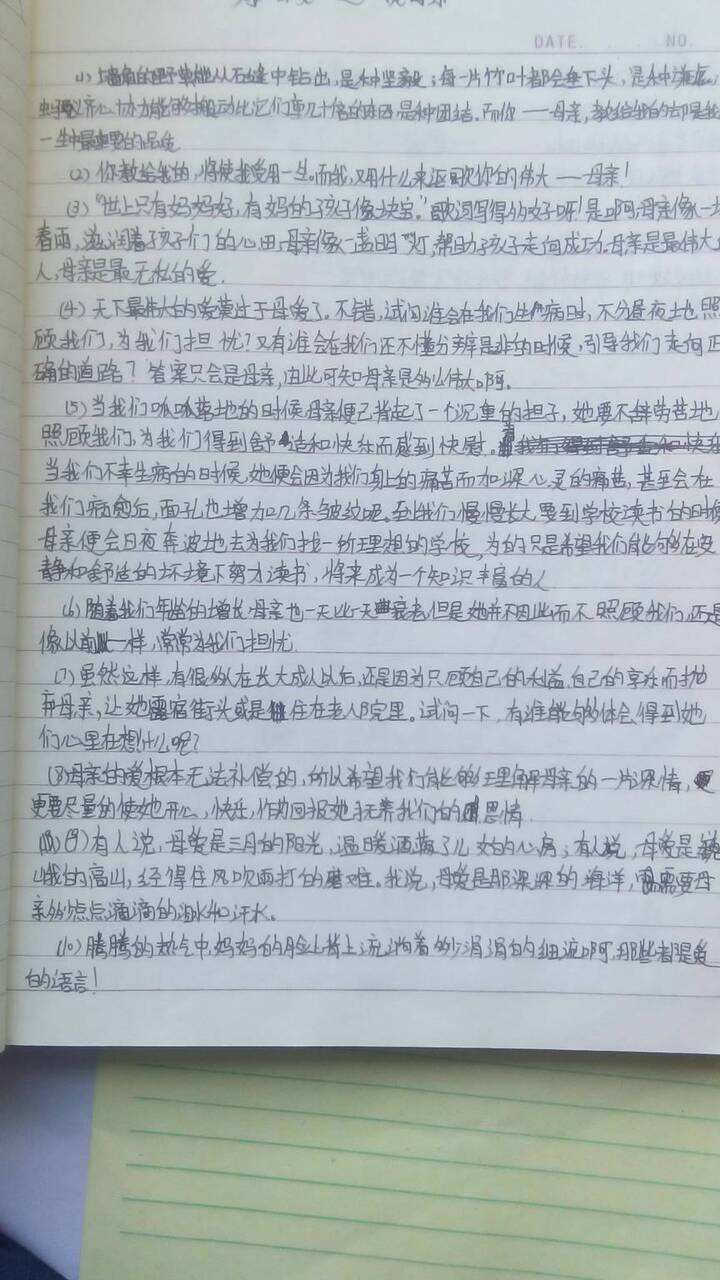 摘抄300字