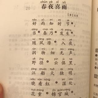 春夜喜雨古诗意思解释