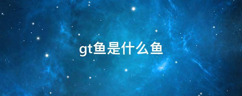 gt鱼是什么鱼珍贵吗(gt鱼是什么鱼)