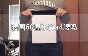 腰围60厘米算a4腰吗(腰围60是a4腰吗)