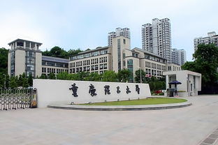 重庆理工大学排名