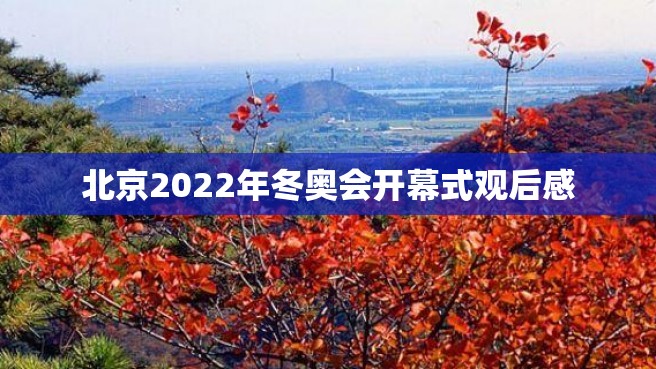 北京2022年冬奥会开幕式观后感