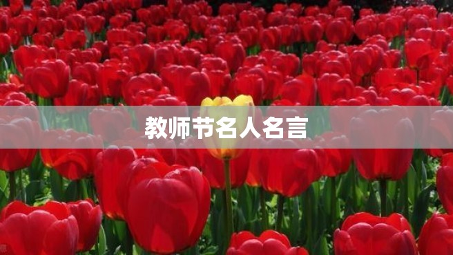 教师节名人名言