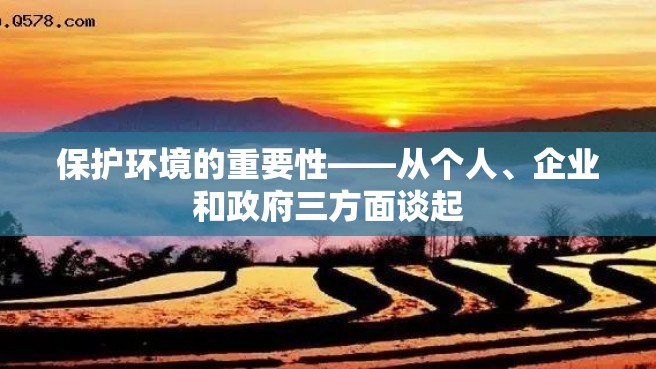 保护环境的重要性——从个人、企业和政府三方面谈起