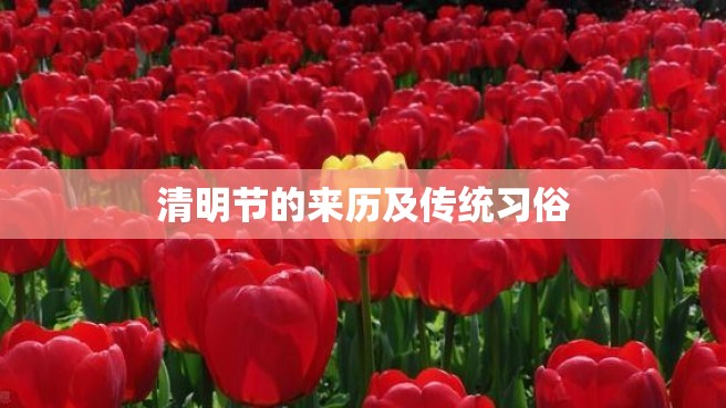 清明节的来历及传统习俗