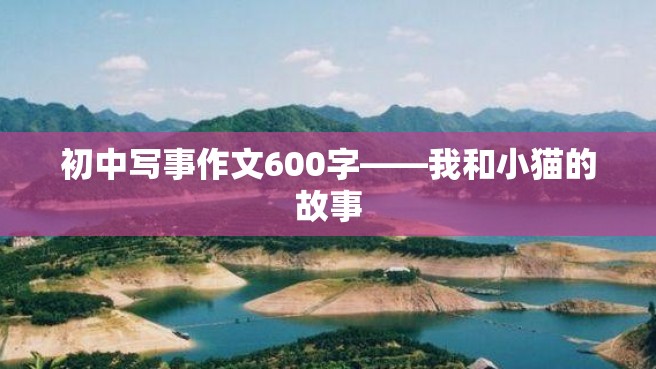 初中写事作文600字——我和小猫的故事