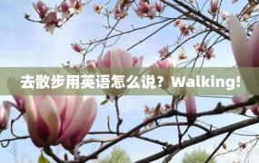 去散步用英语怎么说？Walking!