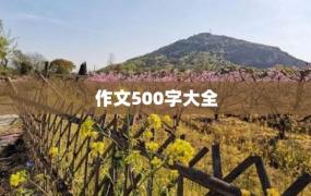 作文500字大全