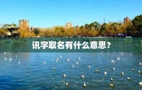 讯字取名有什么意思？