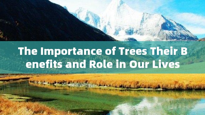 The Importance of Trees Their Benefits and Role in Our Lives