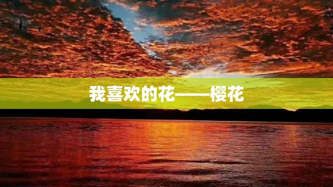 我喜欢的花——樱花