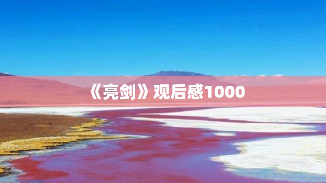 《亮剑》观后感1000