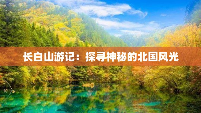 长白山游记：探寻神秘的北国风光