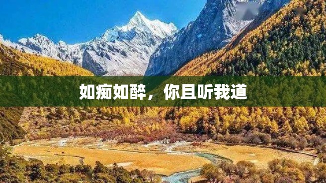 如痴如醉，你且听我道