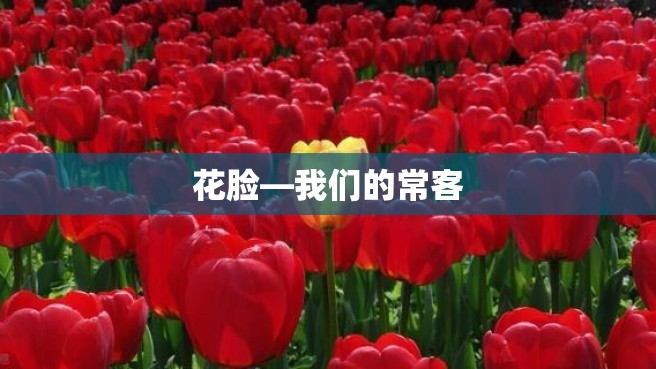 花脸—我们的常客