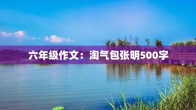 六年级作文：淘气包张明500字