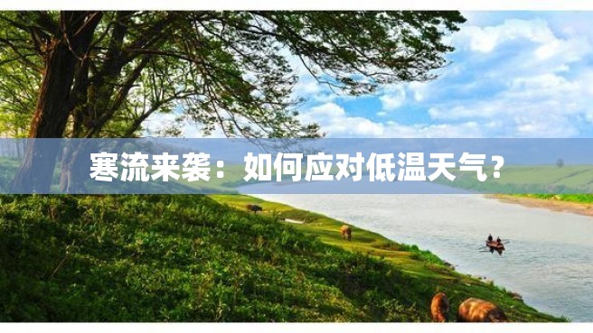 寒流来袭：如何应对低温天气？