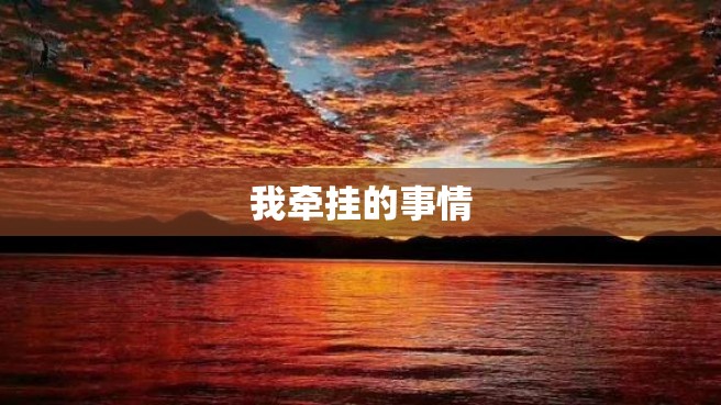 我牵挂的事情