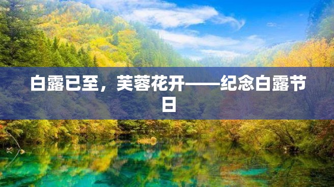 白露已至，芙蓉花开——纪念白露节日