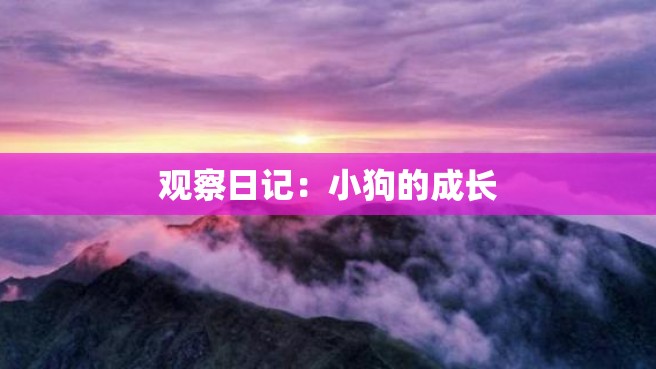 观察日记：小狗的成长